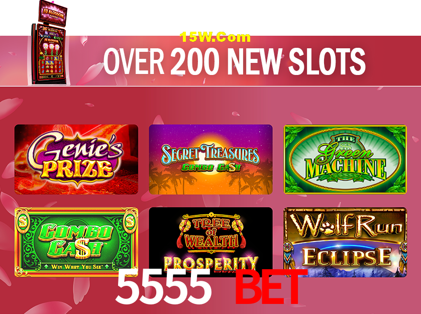 Experiência VIP 5555 bet